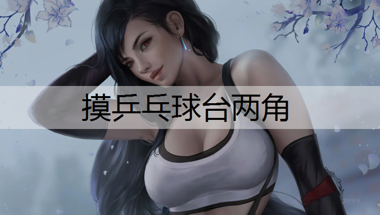 <strong>摸乒乓球台两角</strong>