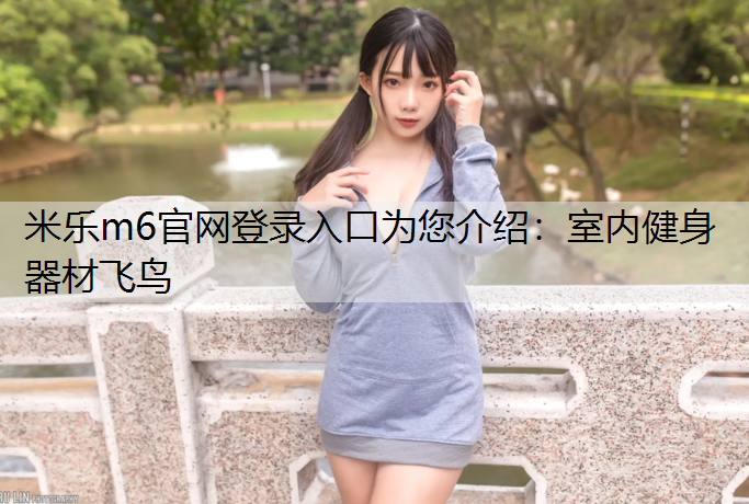 室内健身器材飞鸟